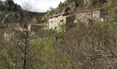 Excursión Senderismo Prévenchères -  Gorges de Chassezac - Photo 12