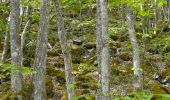 Randonnée Marche Courgoul - Les gorges de Courgouls et le Pic de Cluzel - Photo 15