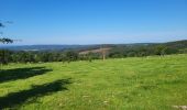 Trail Walking Trois-Ponts - logbierme 060824 - Photo 16