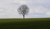 Percorso A piedi Burgkunstadt - Panoramaweg - Photo 10