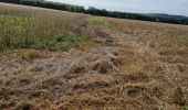 Trail Walking Marray - Marray - Les versants de la Dême - Photo 16