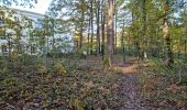 Percorso Marcia Vendôme - Forêt de Vendôme - Bois de l'Oratoire - Photo 10