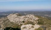 Tour Wandern Saint-Marc-Jaumegarde - Bimon-La croix de Provence - Photo 19