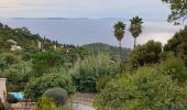 Tour Wandern Rayol-Canadel-sur-Mer - Le Rayol, col de l'étoile  - Photo 5