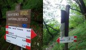 Tour Zu Fuß Ferrara di Monte Baldo - Canale - Madonna della Corona - Photo 9