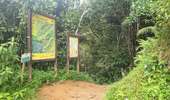 Trail Walking Sainte-Rose - Guadeloupe - Saut des Trois Cornes - Sofaïa - Photo 4
