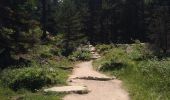 Excursión Senderismo Cauterets - Lac de Gaube - Montée par GR10 - Photo 1