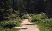 Trail Walking Cauterets - Lac de Gaube - Montée par GR10 - Photo 1