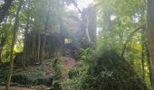 Trail Walking Sprimont - Wikiloc - Aywaille : Château de l Emblève, Château de Florzé, Heid de Gâtes - Photo 7