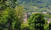 Trail Walking Gunsbach - Gunsbach - Munster - Gunsbach - Photo 14
