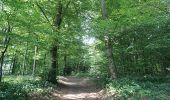 Trail Walking Libin - Libin - Natura 2000, des sites qui valent le détour - Lx22 - Photo 1