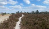 Tour Wandern Kalmthout - Kalmthout bis 20 km - Photo 3