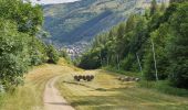 Trail Walking Valloire - Valloire-La Chapelle Saint-Pierre - Photo 9