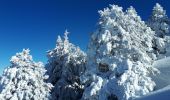 Trail Snowshoes Lans-en-Vercors - Belvédère des Cimes et Moucherotte en raquettes - Photo 6