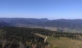 Tour Wandern Lans-en-Vercors - Pic Saint Michel-Les Allières - Photo 5