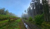 Trail Walking Philippeville - Balade de Roly à Villers-en-Fagne - Photo 9