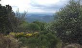 Tocht Stappen Valgorge - Meyrand to mélange - Photo 1