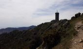 Excursión Senderismo Collioure - Tour de Madaloc - Photo 4