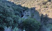 Trail Walking Roquebrune-sur-Argens - Rocher de Roquebrune sur Argens-23-02-22 - Photo 2