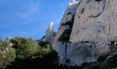 Excursión Senderismo Marsella - Les calanques  - Photo 4