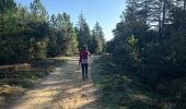Trail  La Bastide-d'Engras - La Bastide D’Englas Pougnadoresse - Photo 8