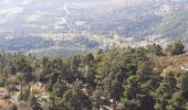 Tocht Stappen La Bastide - Mont Lachens depuis La Bastide - Photo 2