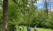 Tour Wandern Rochefort - Han-sur-Lesse - Photo 4