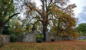 Excursión Senderismo Beauraing - Adeps Pondrôme via Revogne 10km 23-10-2022 - Photo 4