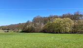 Excursión Senderismo Chaumont-Gistoux - BE-Chaumont-Gistoux - Le Bercuit par Dion-le-Val - blog le bruant wallon - Photo 13