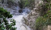 Trail Walking Joucas - Joucas - Les gorges de Véroncle - Photo 11