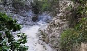 Randonnée Marche Joucas - Joucas - Les gorges de Véroncle - Photo 11