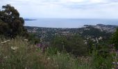 Excursión Senderismo Cogolin - les hauts de Cavalaire - Photo 10