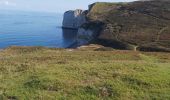 Trail Walking Le Tilleul - Le Tilleul - Jumel - Etretat - Photo 9