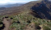 Tour Wandern Chambon-sur-Lac - Le Puy de Sancy par les crêtes Est - Photo 8