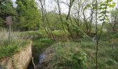 Randonnée A pied Breckland - Lynford Circular Walk - Photo 6