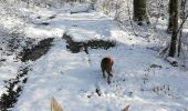 Tocht Paardrijden Saint-Martin - neige kaline vispa  - Photo 12