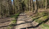 Trail Horseback riding Florenville - Les Epioux  - Photo 2