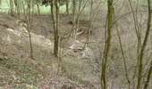 Tocht Te voet Aywaille - AY25 Ruisseau du Loupgueule - Photo 9