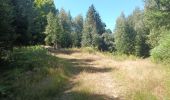 Excursión Senderismo Le Haut-Bréda - Croix du Léat,  Pierre des Pins, Lac et  chalet du Léat en passant par le chalet du bout - Photo 12