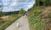 Trail Walking Profondeville - Sept Meuse Profondeville  21,4 km - Photo 5