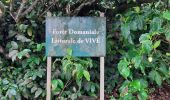 Tour Wandern Le Lorrain - La Crabiere 2 - Photo 7