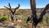 Tour Zu Fuß São Brás de Alportel - Cerros de Sobro - Photo 1