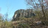 Trail On foot La Roche-en-Ardenne - 2.Champs Thomas - Photo 7