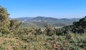 Tocht Stappen La Londe-les-Maures - dolmen de Gaoutabry 2 La Londe les Maures - Photo 19