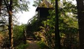 Tour Wandern Unknown - Baden Baden - rando des 