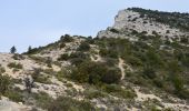Trail Walking Pourcieux - Pourcieux - ¨Pas des Ifs, de la Croix et de Titet - Olympe - Rocher de Onze Heures - Croix de Pourcieux - Photo 11