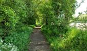 Tour Wandern Hannut - La balade des chevées (5km)  - Photo 17