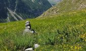 Tour Wandern Saint-Dalmas-le-Selvage - Crête de Pre Gaze et Abri de Giant, de Saint Dalmas de Selvage - Photo 11