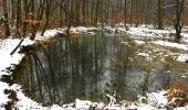 Trail On foot Ratingen - Angerland Rundweg A4 - Photo 1