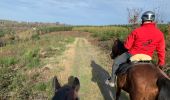 Tocht Paardrijden Neufchâteau - Quadrillage du bois d’Ospau - Photo 3